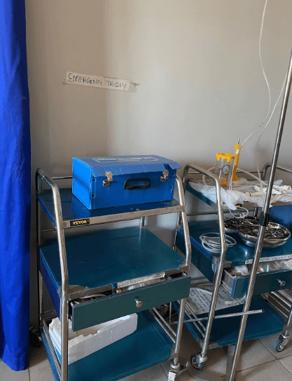 Health team project work