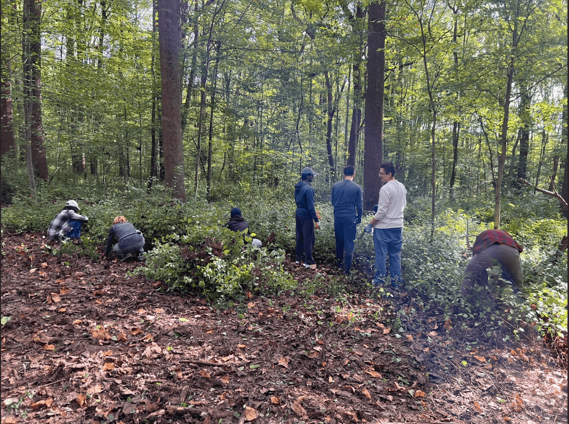 ReachOut team community engagement