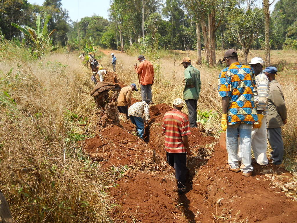 Cameroon project ended timeline image