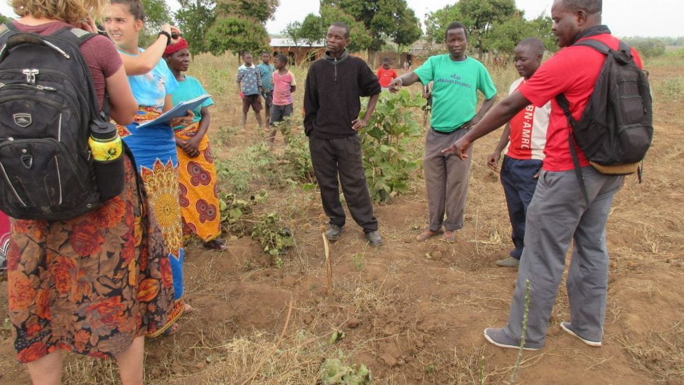 Malawi team partnered with Liti and Nkagula timeline image